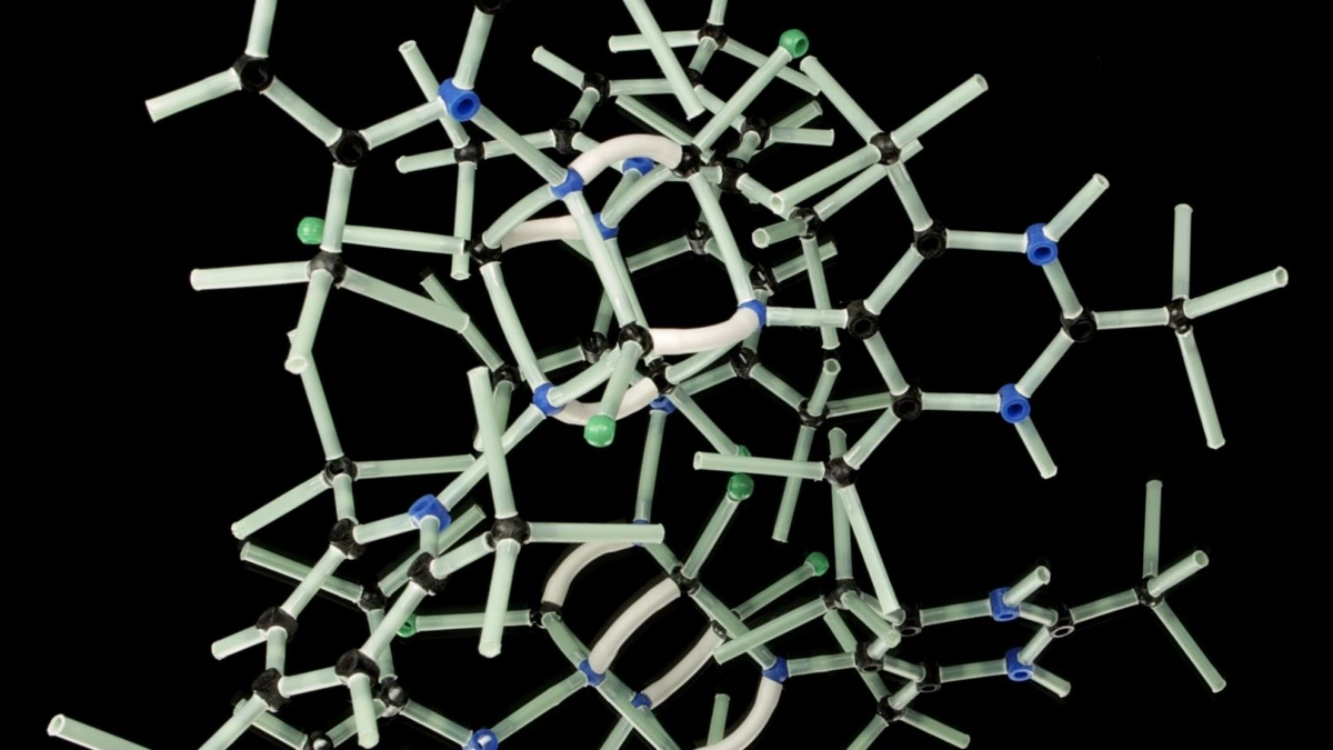 Why Structural Biology Matters to You (Even If You're Not a Scientist)