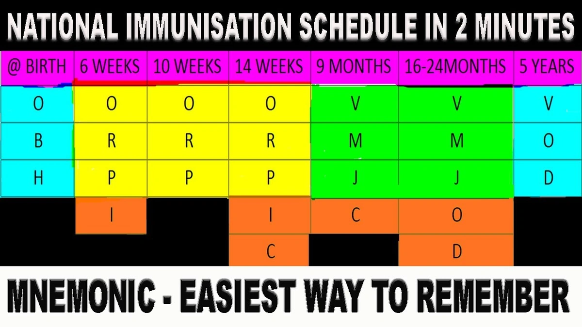 Decoding the CDC's Vaccine Schedule Update