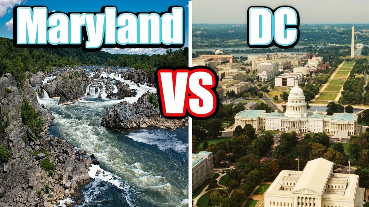 A Tale of Two Economies | Crab Cakes vs. Code