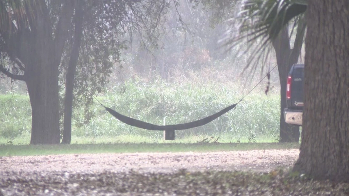 Decoding the Connection | Why People Watch