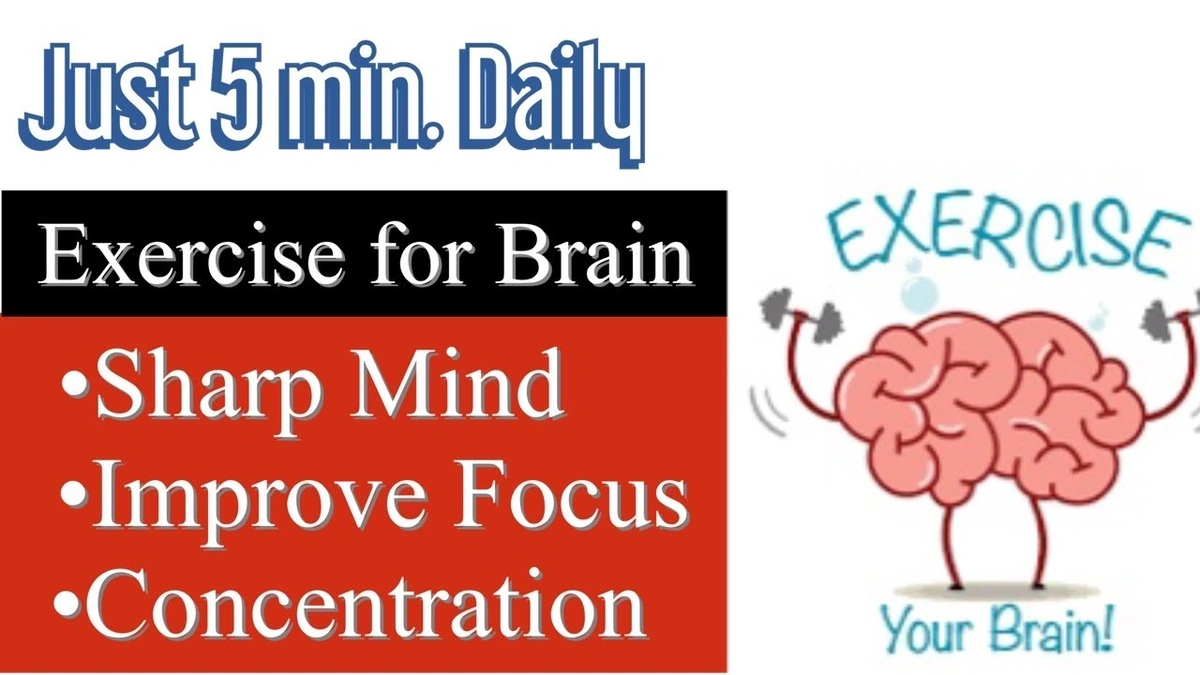 Why Our Focus is Fading | Understanding the Modern Brain Drain